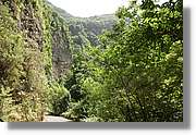 Nacientes_222.jpg