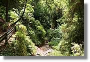 Nacientes_224.jpg