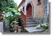 Nacientes_231.jpg