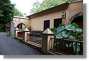 Nacientes_232.jpg