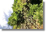 Nacientes_234.jpg