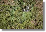 Nacientes_271.jpg
