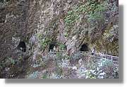Nacientes_278.jpg