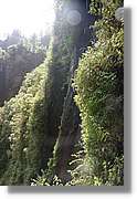 Nacientes_295.jpg