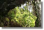 Nacientes_306.jpg