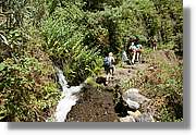 Nacientes_311.jpg