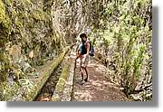Nacientes_329.jpg