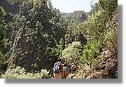 Nacientes_338.jpg