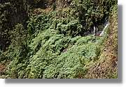 Nacientes_345.jpg