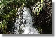 Nacientes_346.jpg