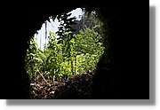 Nacientes_349.jpg