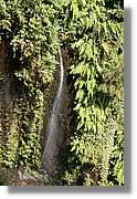 Nacientes_364.jpg
