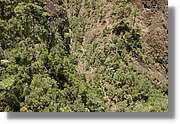 Nacientes_371.jpg