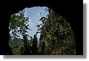 Nacientes_380.jpg