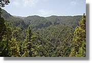 Nacientes_391.jpg
