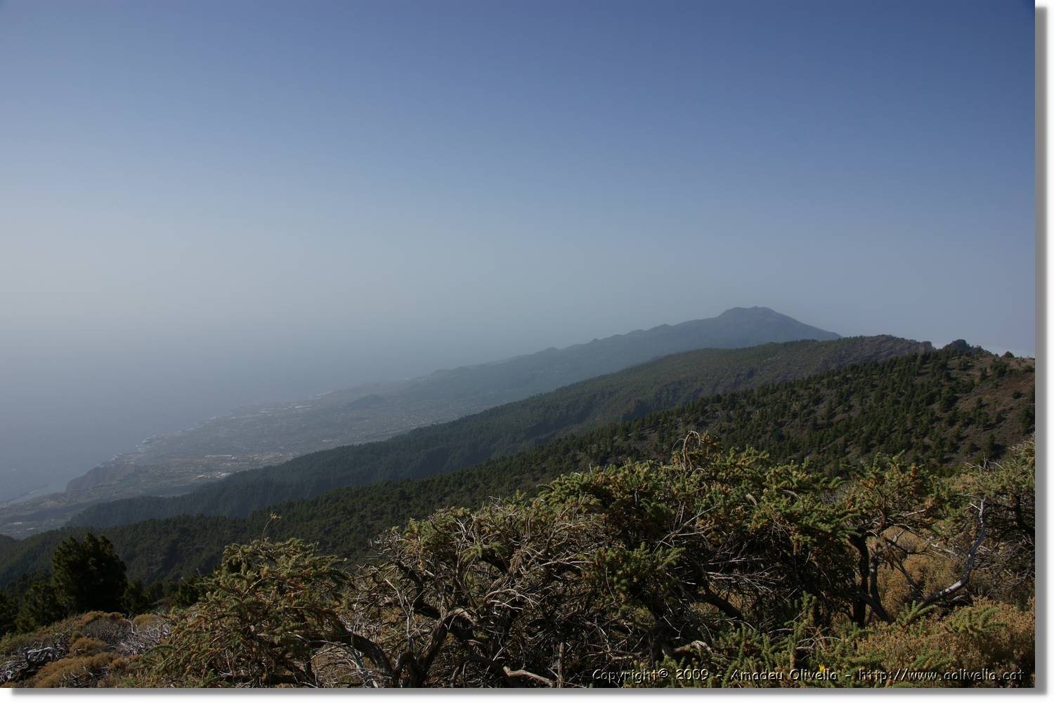 Taburiente_035.jpg