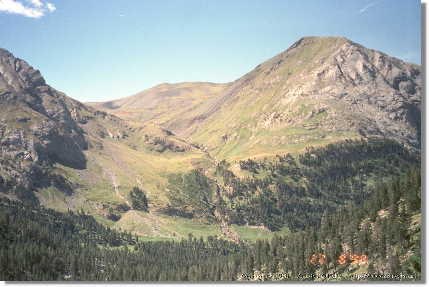Llosás_001.jpg