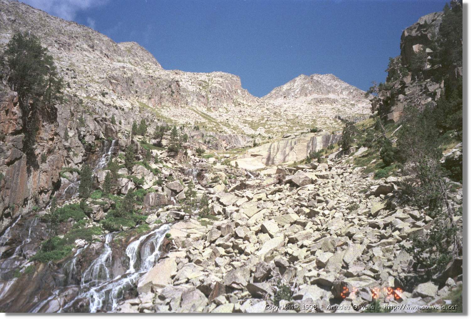 Llosás_002.jpg