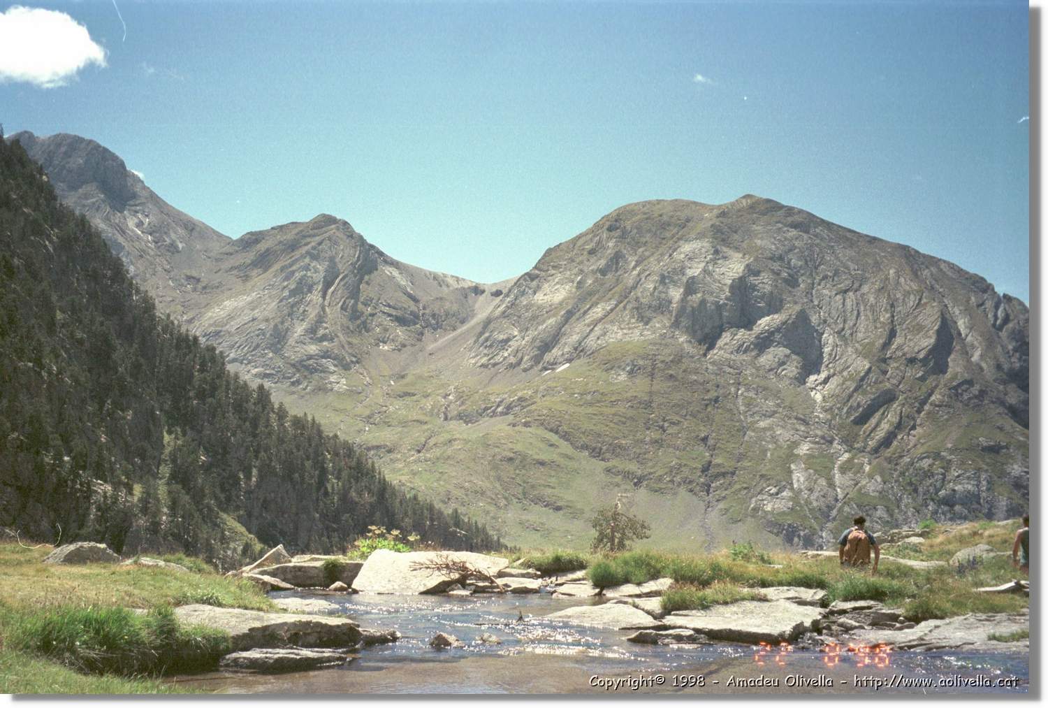 Llosás_003.jpg