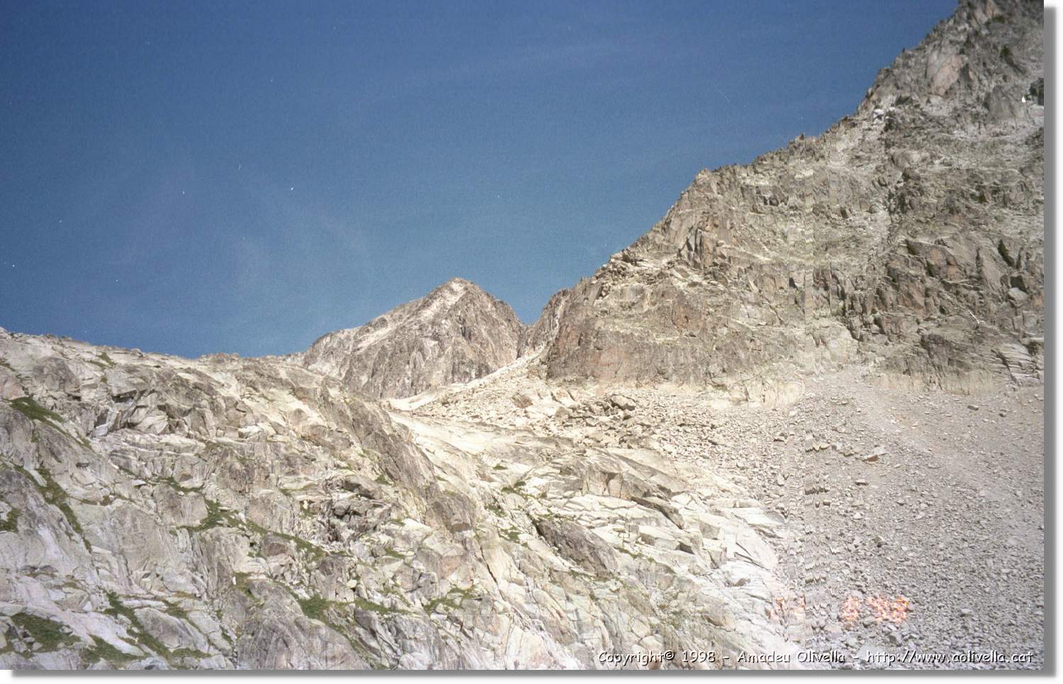 Llosás_008.jpg