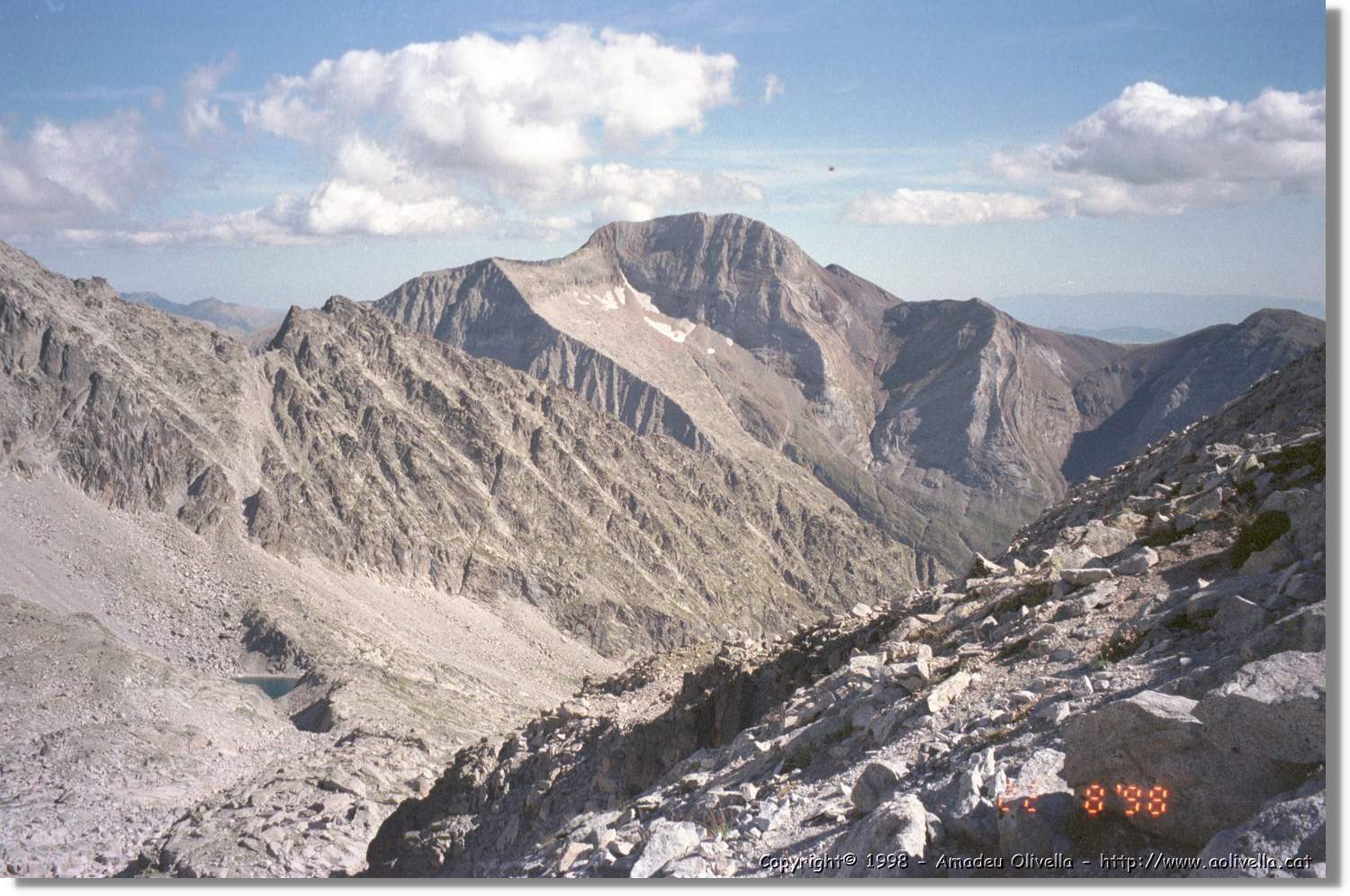 Llosás_010.jpg