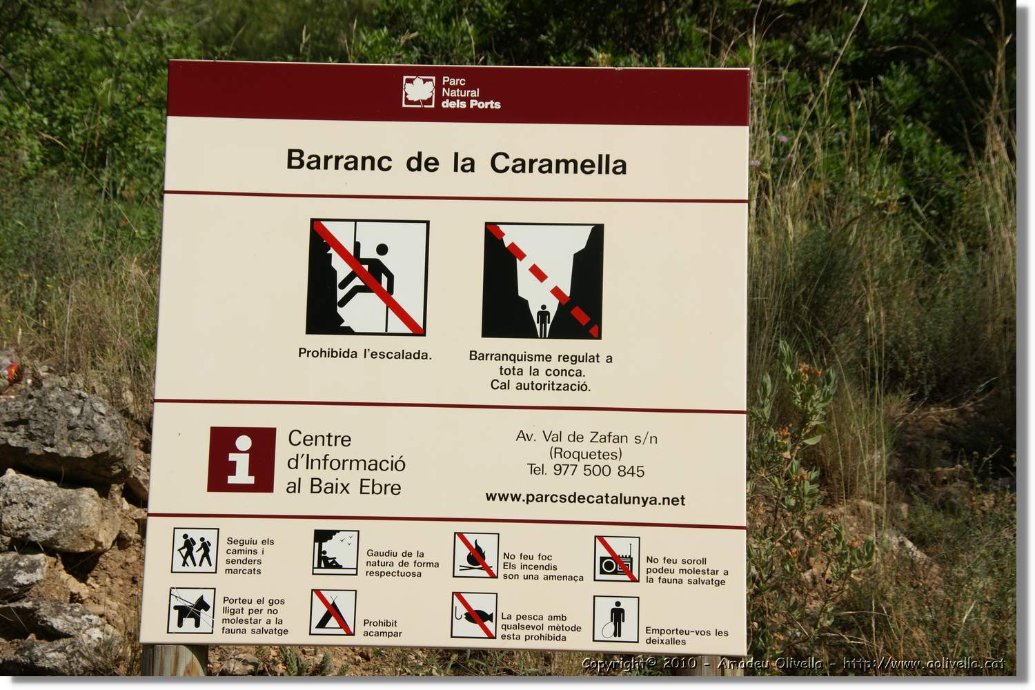 Caramella_001.jpg