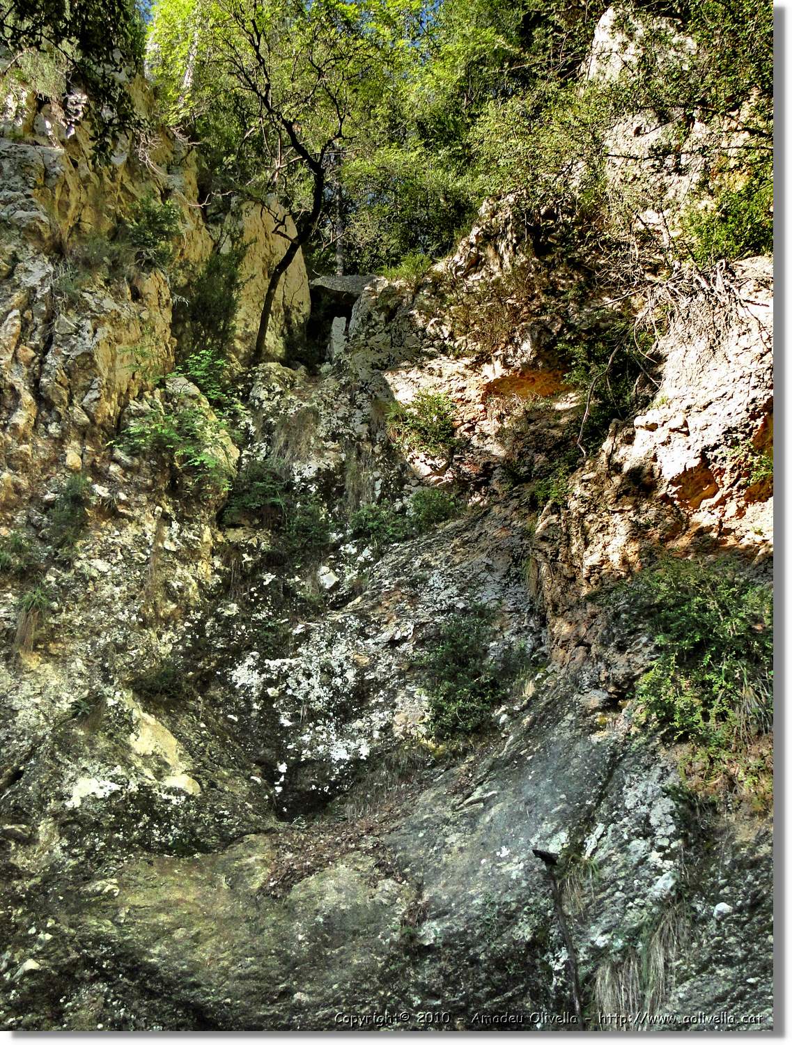 Joca_017.jpg