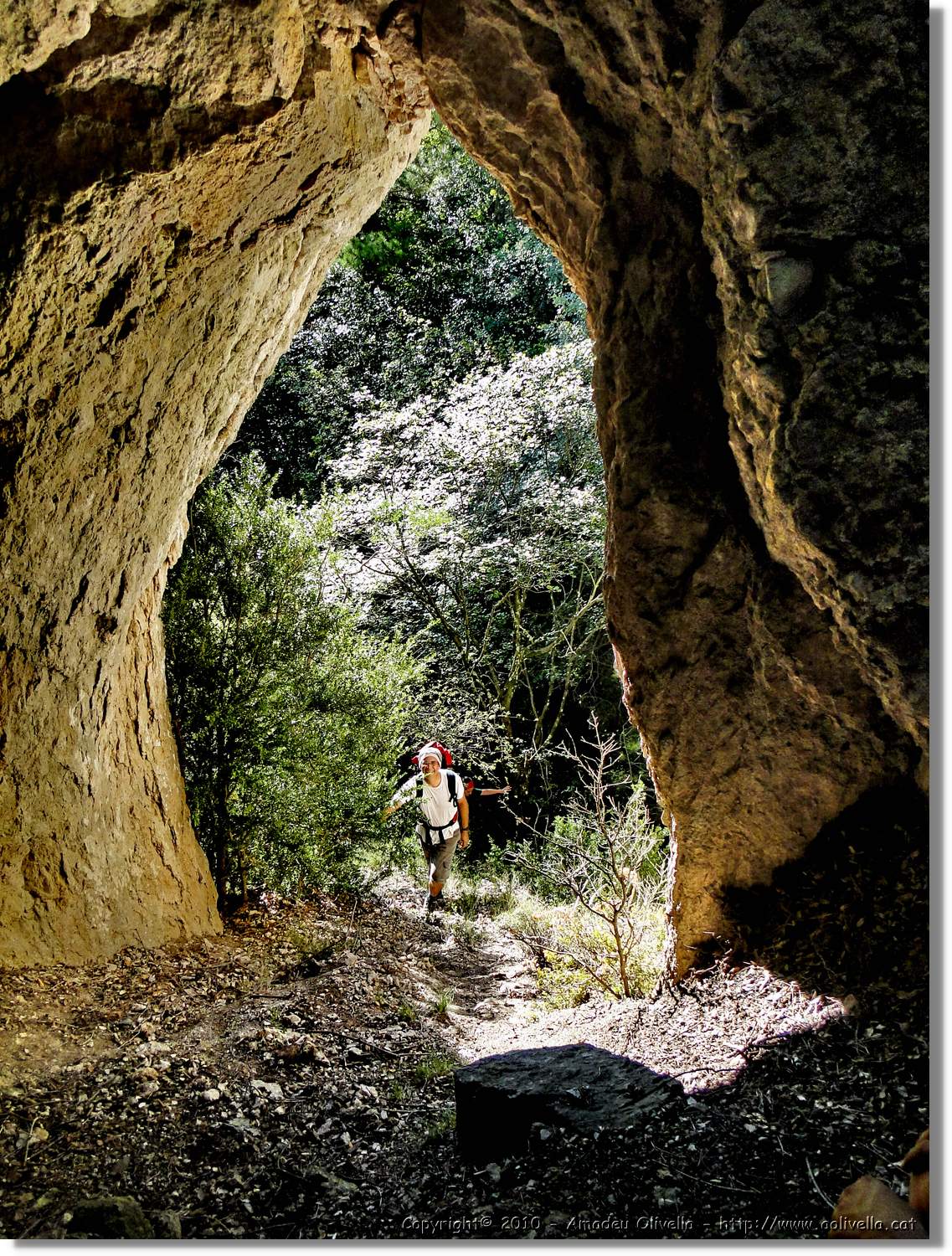 Joca_020.jpg