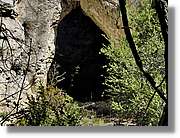 Joca_019.jpg