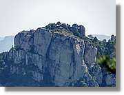 Joca_045.jpg