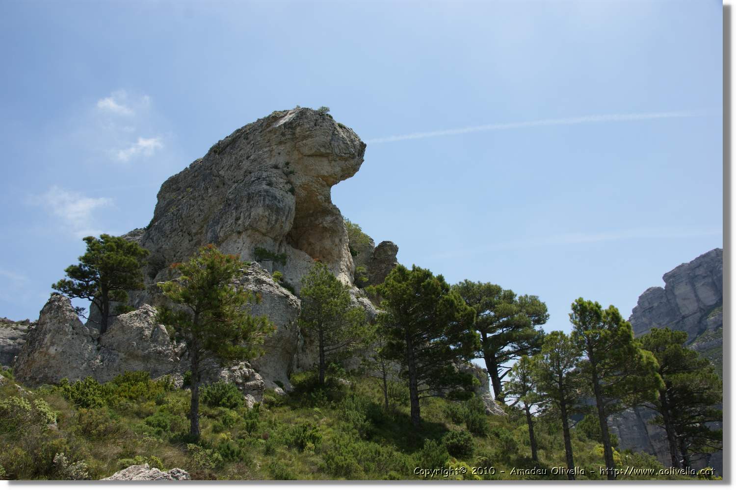 Marc_144.jpg