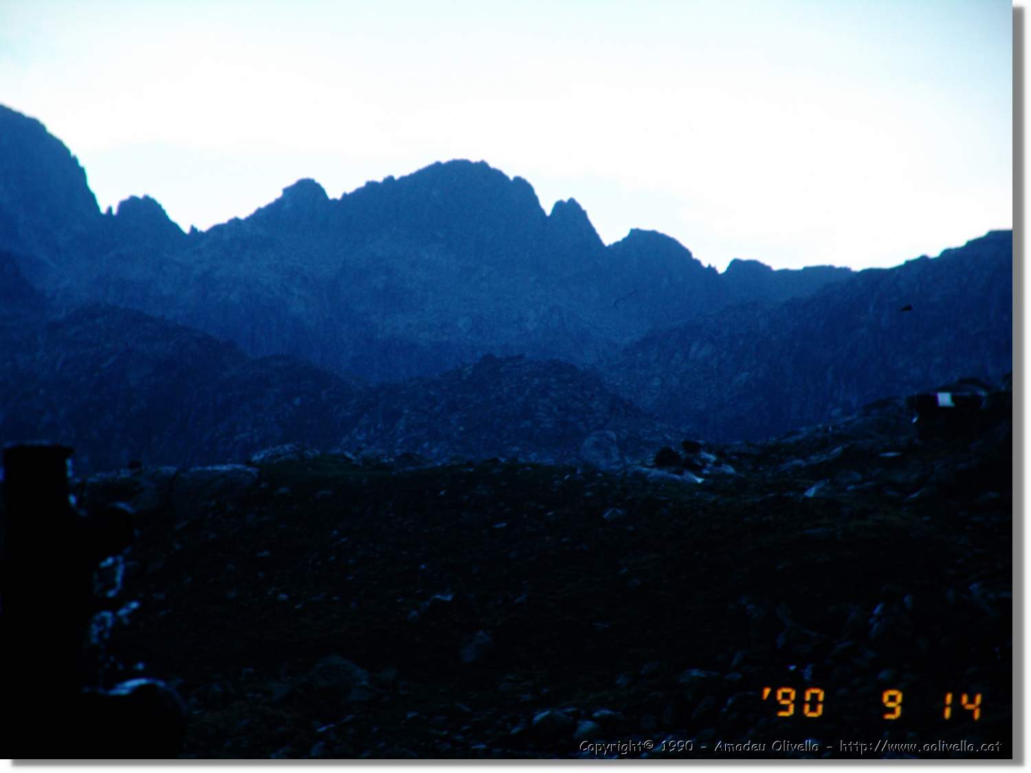 Montardo_041.jpg