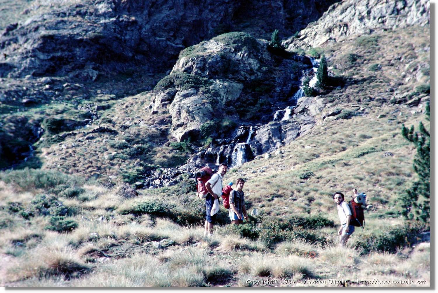 Pica_002.jpg