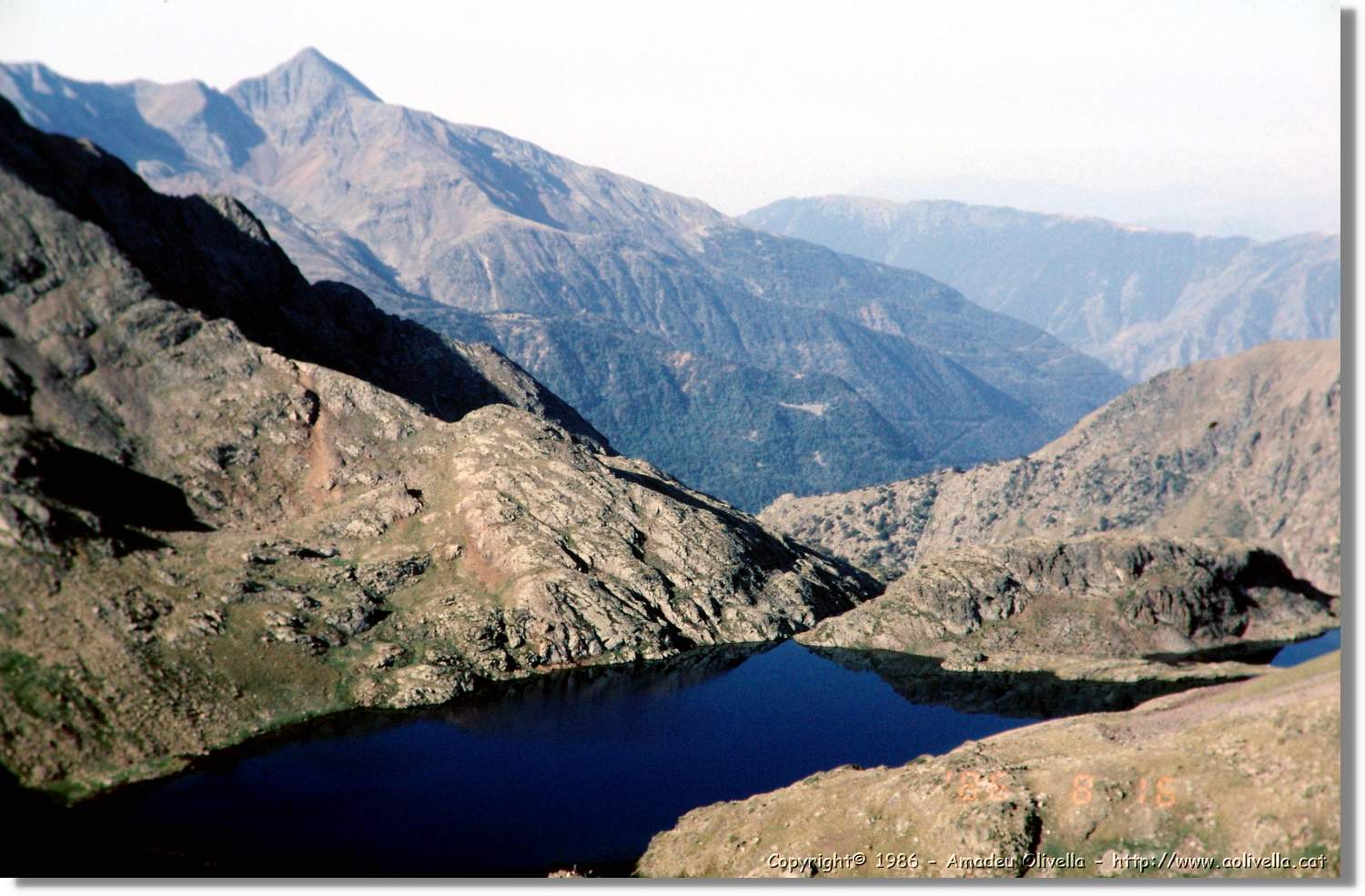 Pica_004.jpg