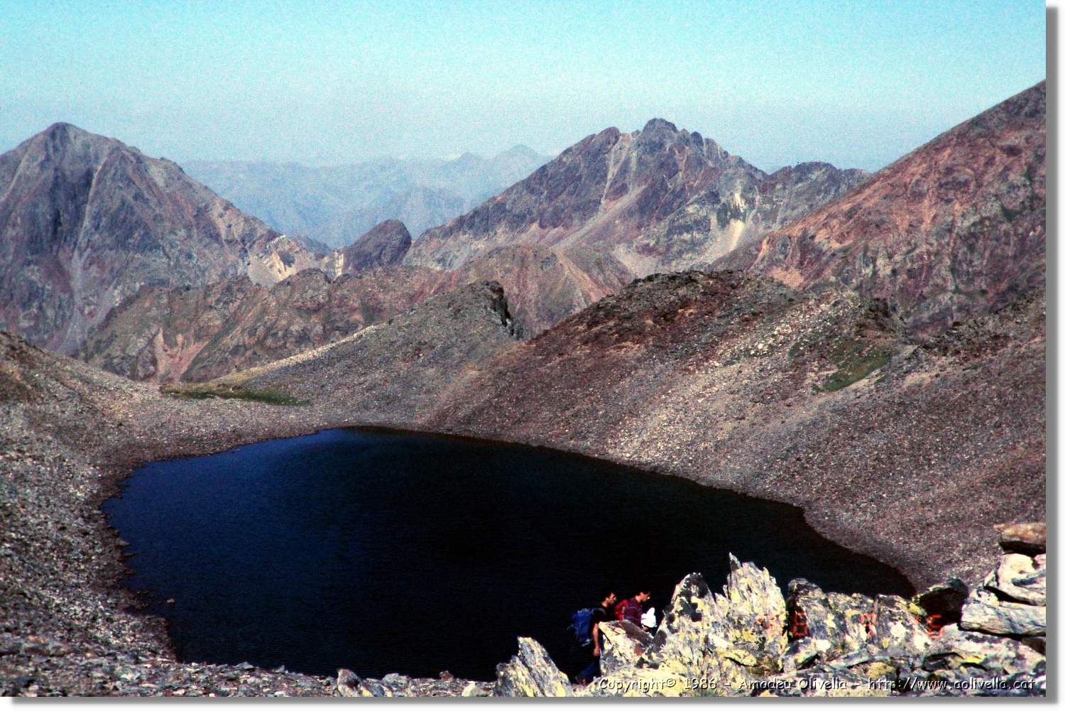 Pica_006.jpg