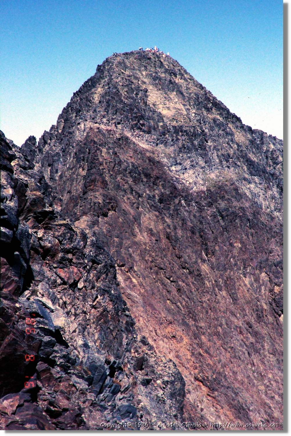 Pica_007.jpg