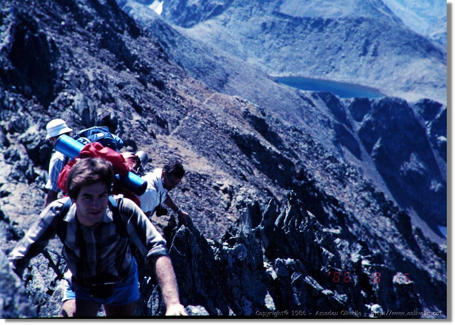 Pica_009.jpg