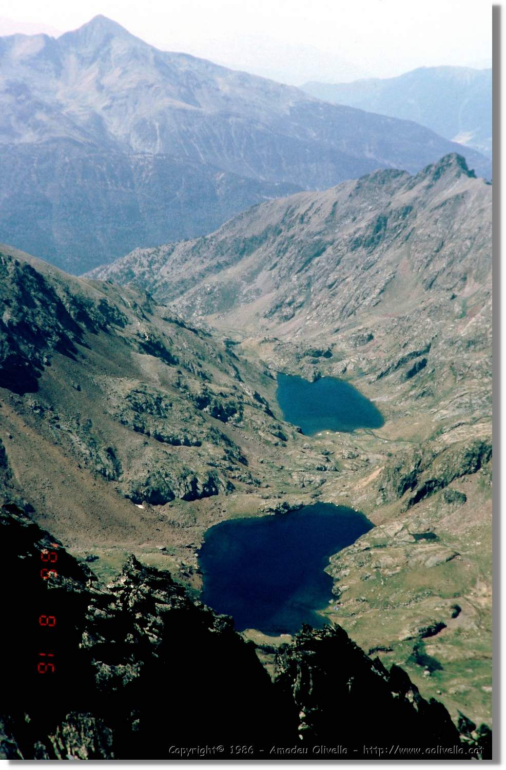 Pica_013.jpg