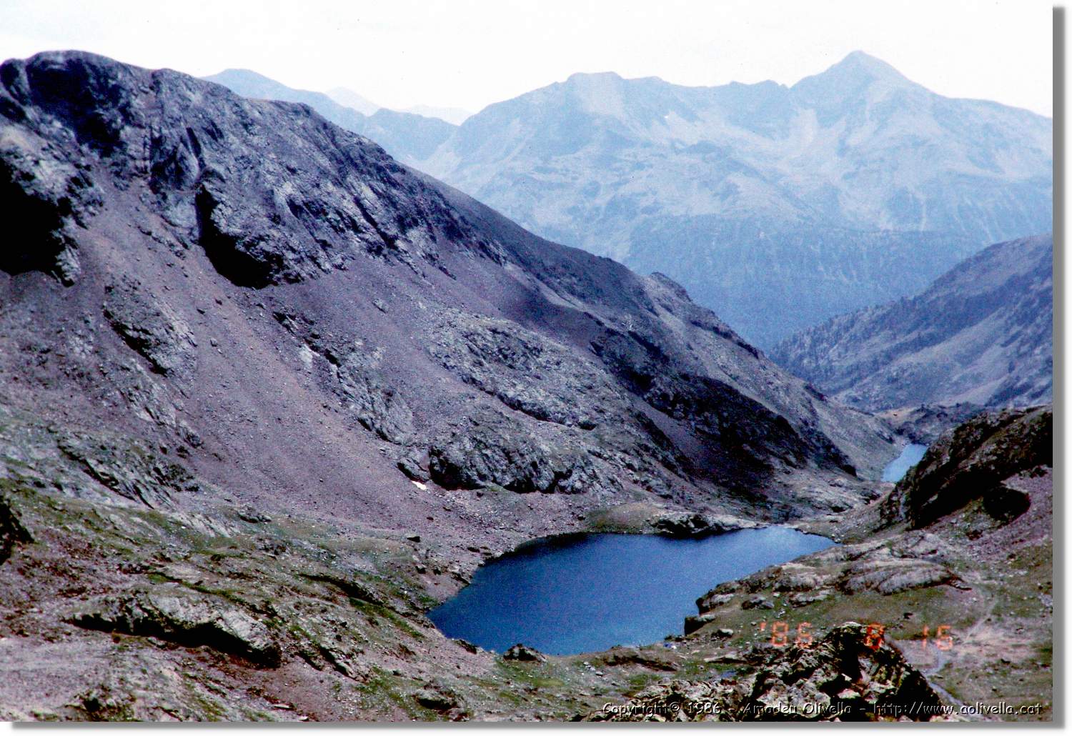 Pica_020.jpg