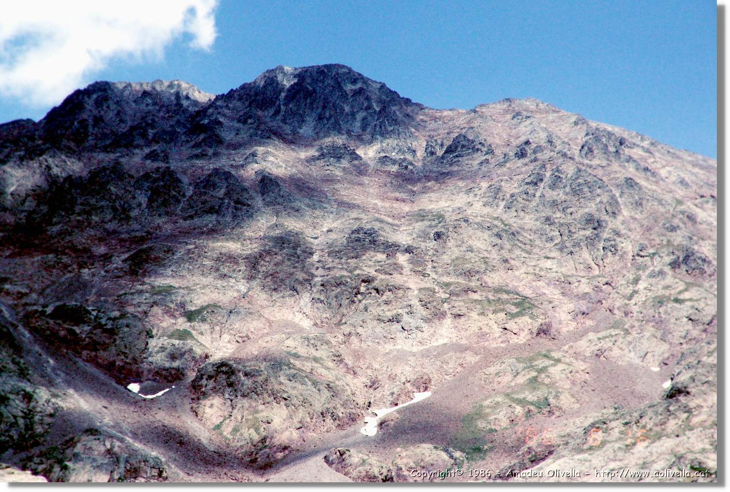 Pica_021.jpg