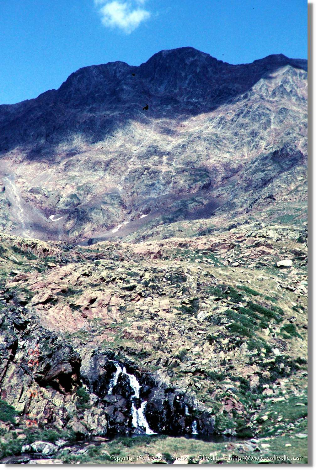 Pica_022.jpg