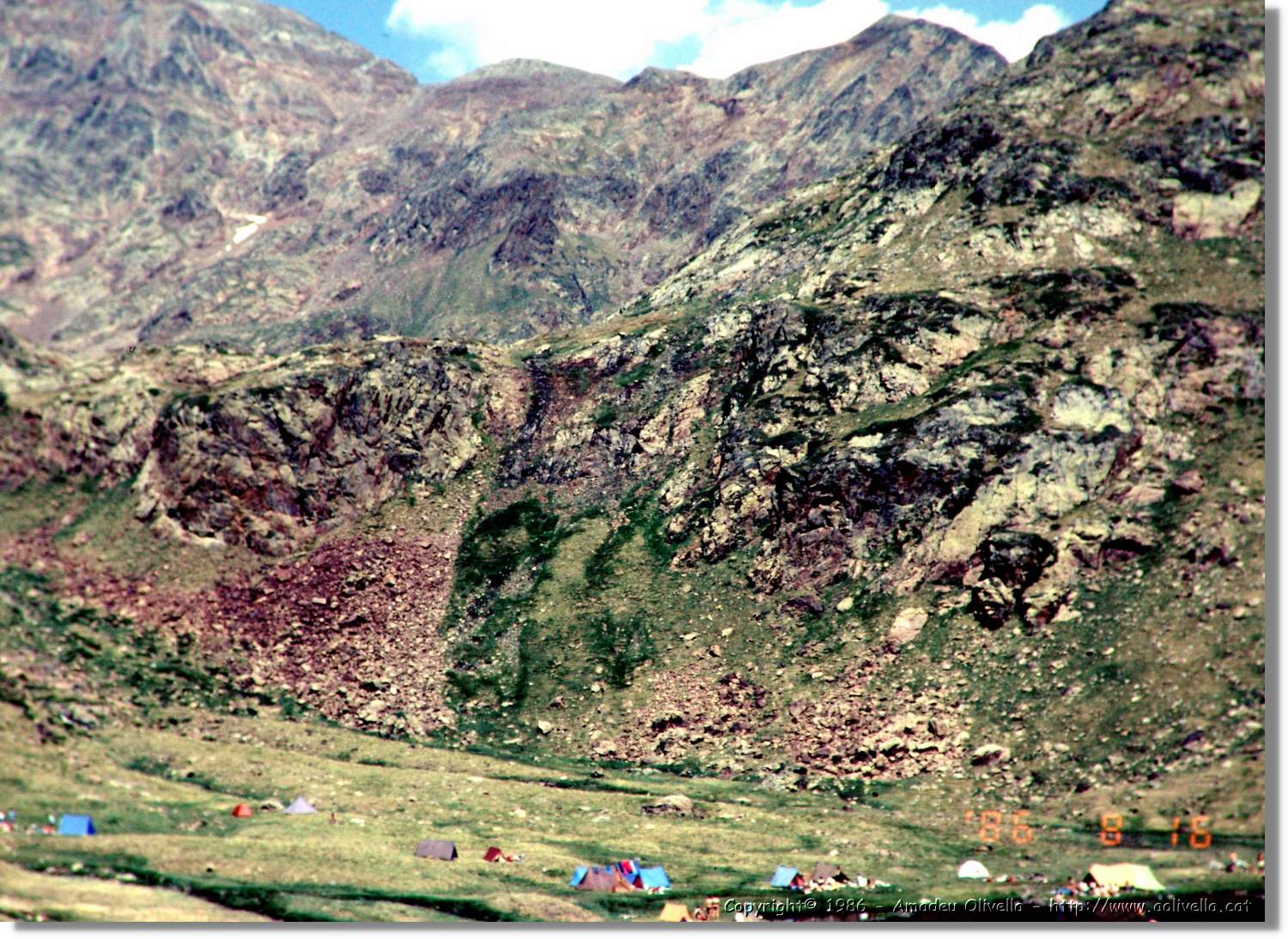 Pica_023.jpg