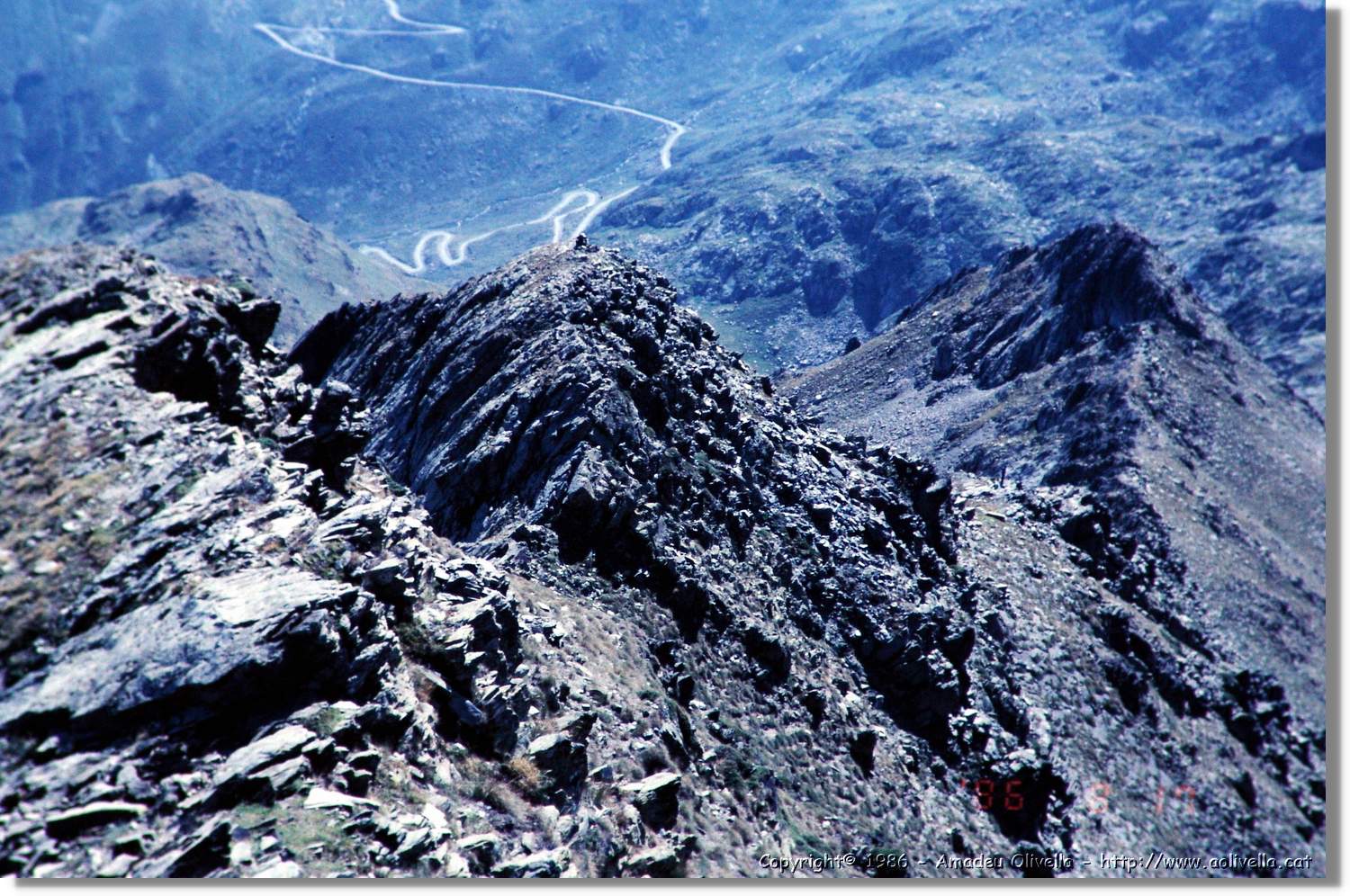 Pica_029.jpg
