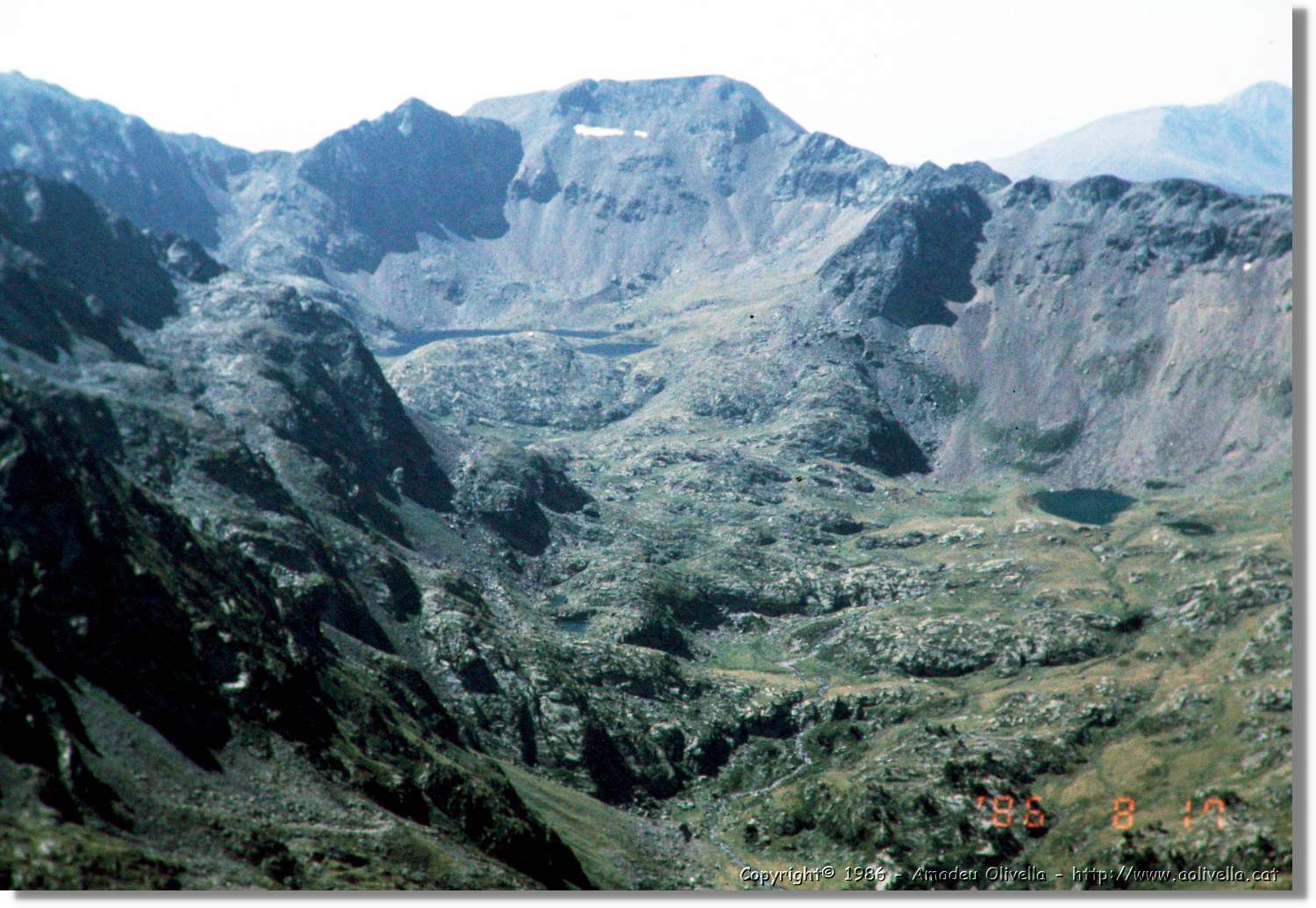 Pica_030.jpg