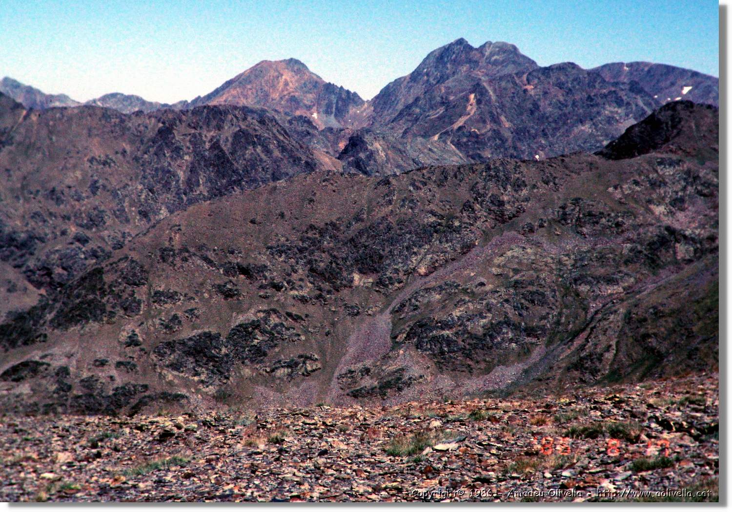 Pica_033.jpg