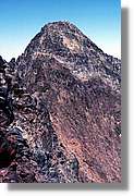 Pica_007.jpg