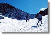 Pica_019.jpg