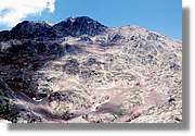Pica_021.jpg