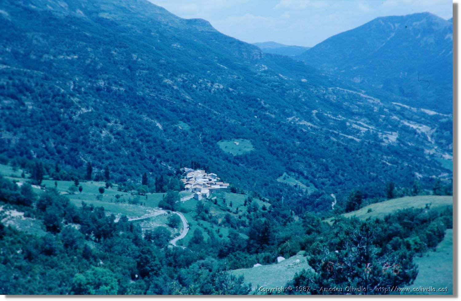 Pica_034.jpg