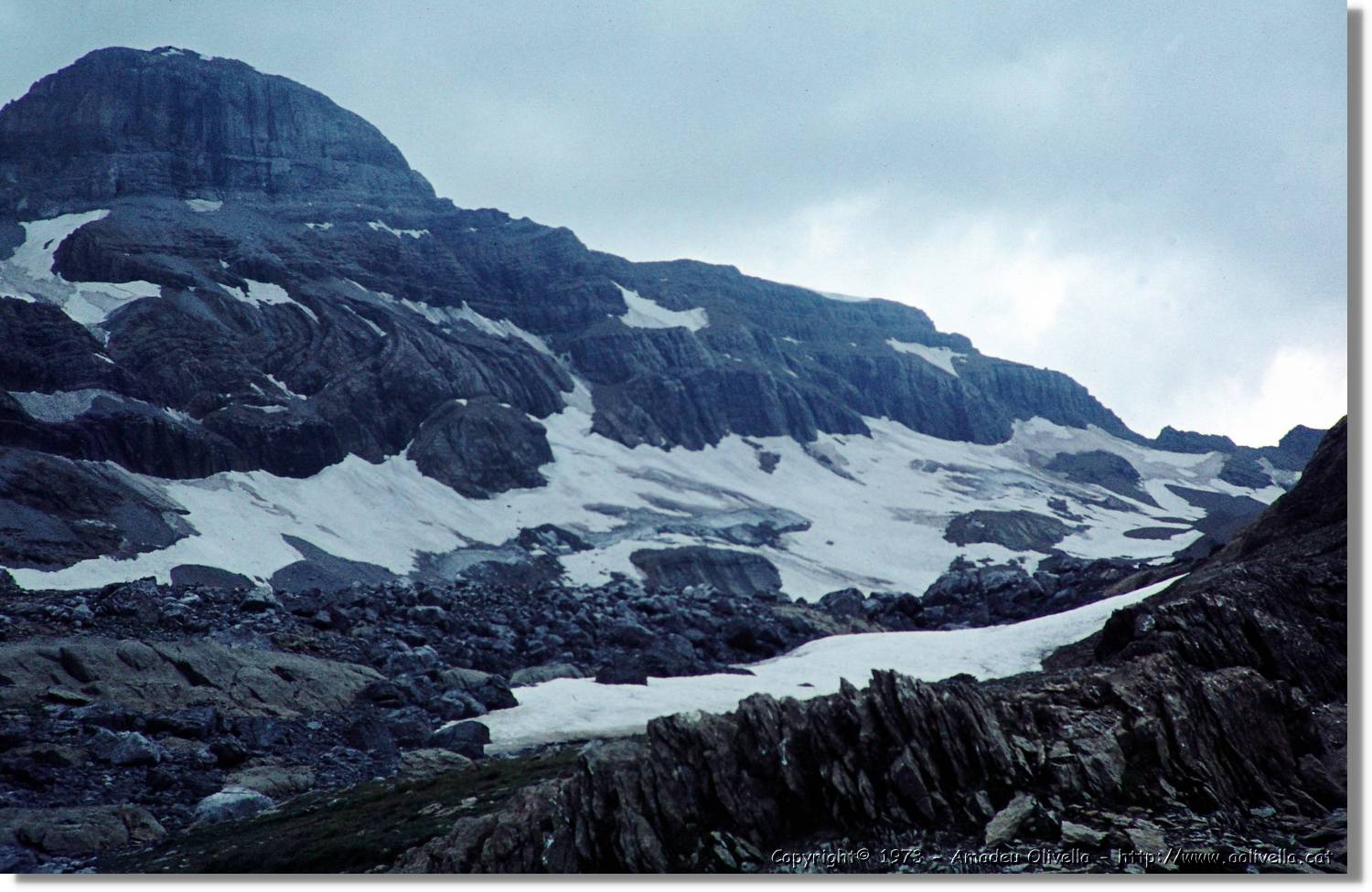 Pineta_007.jpg